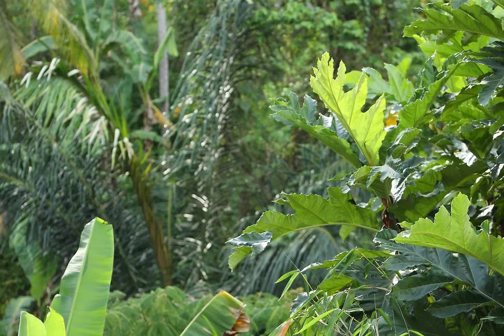 Aria Villas Ubud Indonesia